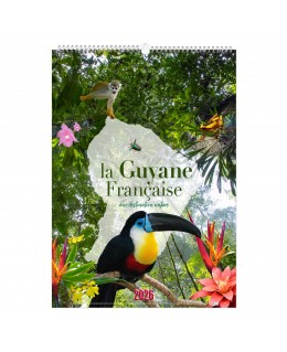 CALENDRIER ILLUSTRÉ 13...