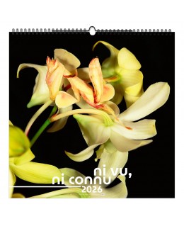 CALENDRIER ILLUSTRÉ 7...