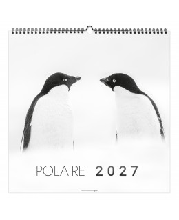 CALENDRIER ILLUSTRÉ 7...