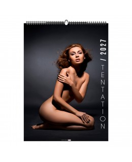 CALENDRIER ILLUSTRÉ 6 OU 7...
